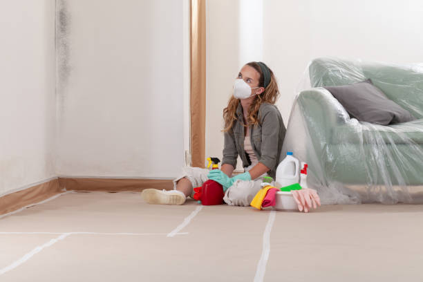 Reliable Black Mold Removal contractor in Clinton, PA by WQB Mold Removal